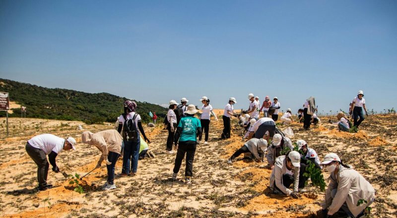 Dari Pertukaran Budaya ke Pengembangan Diri: Bagaimana Global Volunteer Membentuk Perspektif Baru